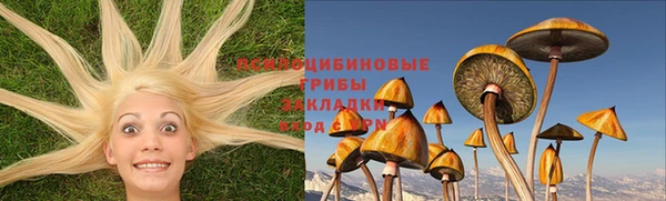 кокс Баксан