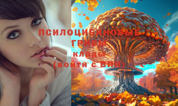 кокаин Балабаново