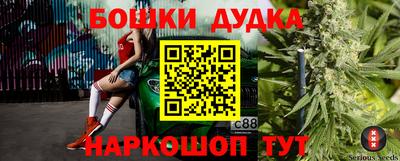 apvp Гагарин