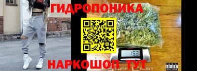 ALPHA-PVP Гатчина