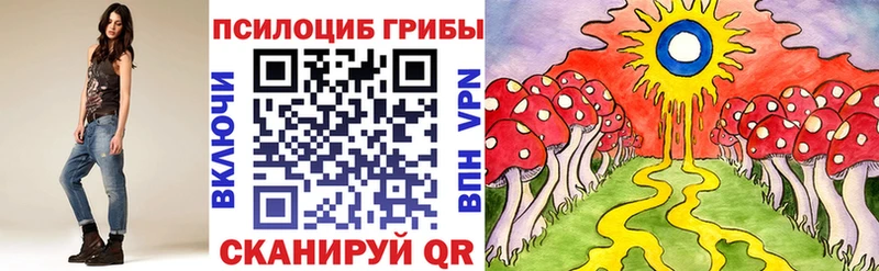 площадка формула  Каспийск  Галлюциногенные грибы прущие грибы 