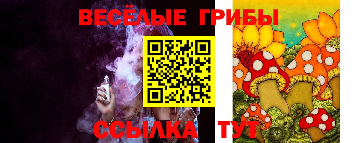 наркота  Вход с VPN  Галлюциногенные грибы мицелий  Каспийск  Галлюциногенные грибы Psilocybe 